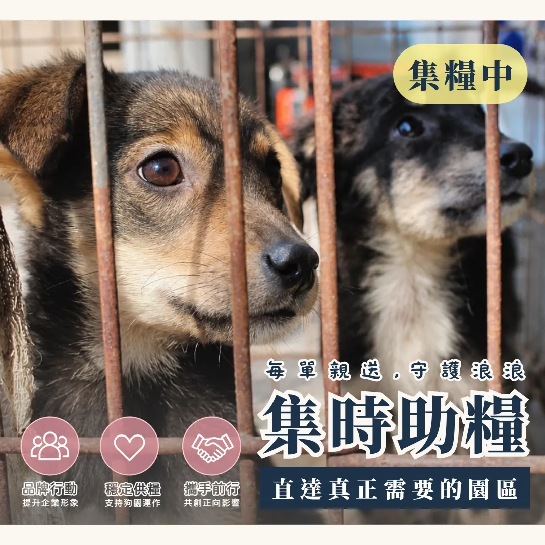 企業贊助方案-300 kg