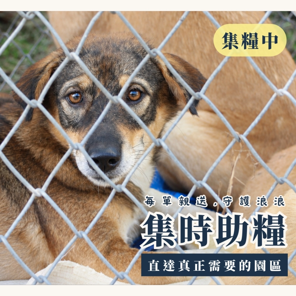 糧心守護7日糧（一週）